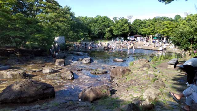 郷土の森、水遊びの池1