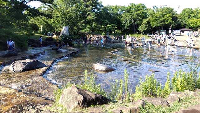 郷土の森、水遊びの池2