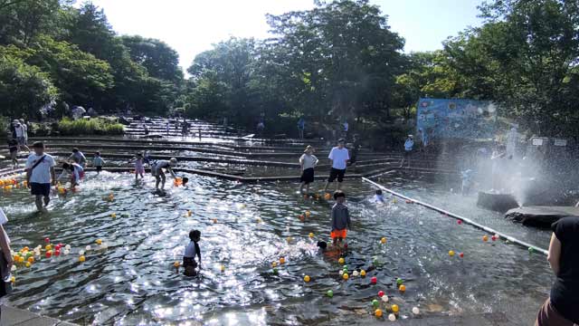 郷土の森、水遊びの池5