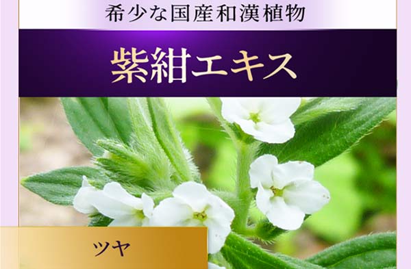 XILOCNARE 成分と効果2