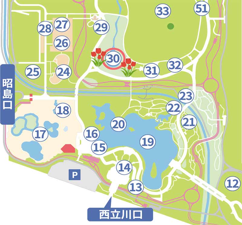 昭和記念公園 チューリップ 地図